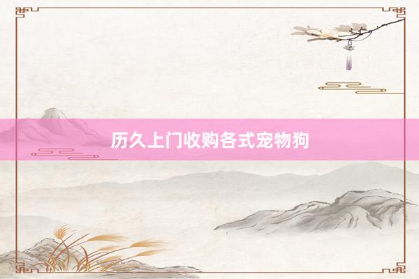 历久上门收购各式宠物狗