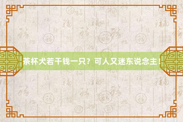 茶杯犬若干钱一只？可人又迷东说念主！