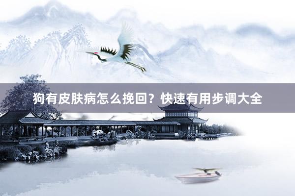 狗有皮肤病怎么挽回？快速有用步调大全